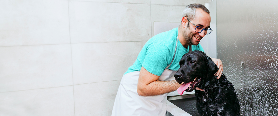retail petshops header